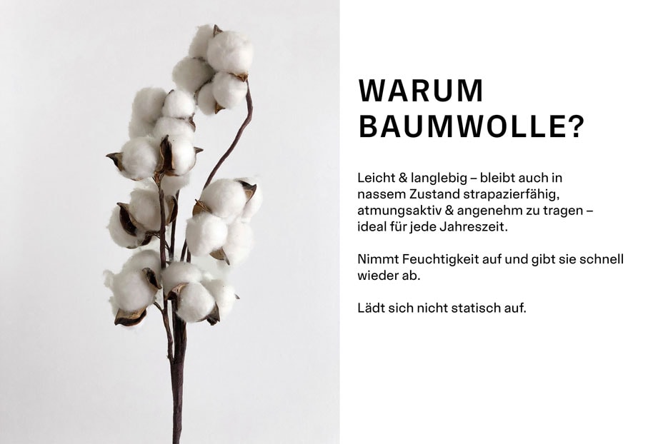 Baumwollzweig als Hinweis auf hochwertige, hautfreundliche Baumwolltextilien im Shop.