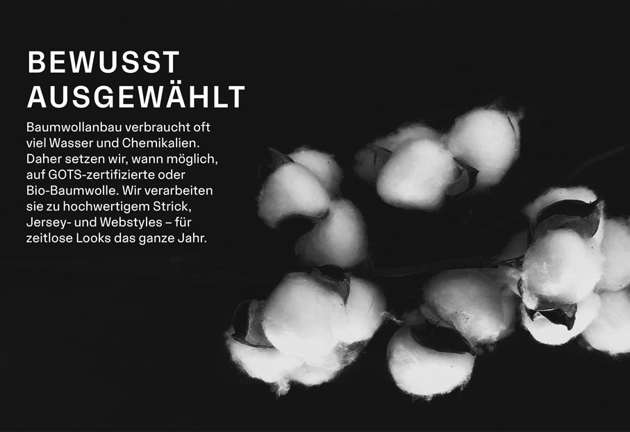 Bio-Baumwolle als Symbol für bewusst ausgewählte Materialien und nachhaltige Premium Strickmode für zeitlose Qualität.