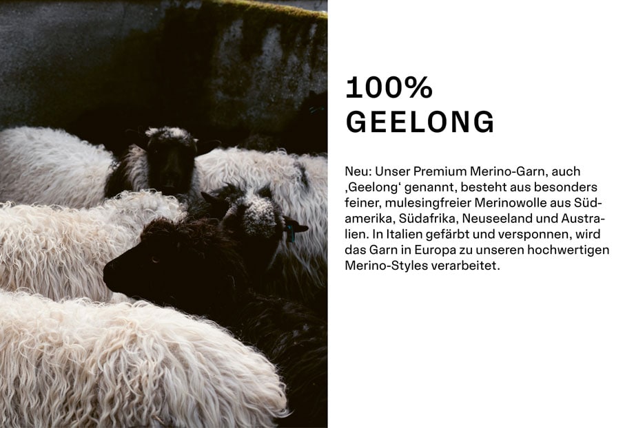 Links im Bild ist eine Herde von Schaffen zu sehen. Text: 100% GEELONG. Neu: Unser Premium Merino-Garn, auch ‚Geelong‘ genannt, besteht aus besonders feiner, mulesingfreier Merinowolle aus Südamerika, Südafrika, Neuseeland und Australien. In Italien gefärbt und versponnen, wird das Garn in Europa zu unseren hochwertigen Merino-Styles verarbeitet.