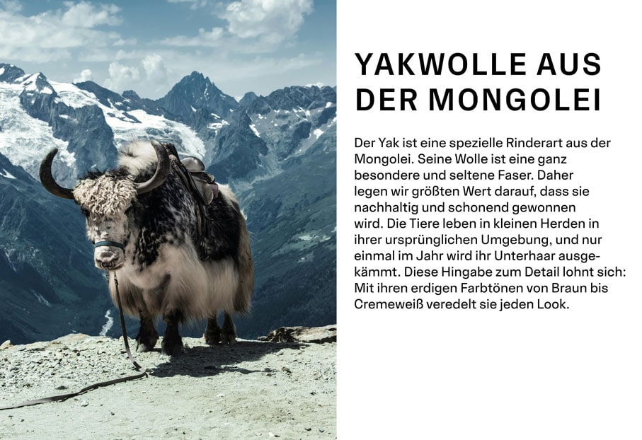 YAKWOLLE AUS DER MONGOLEI. Der Yak ist eine spezielle Rinderart aus der Mongolei. Seine Wolle ist eine ganz besondere und seltene Faser. Daher legen wir größten Wert darauf, dass sie nachhaltig und schonend gewonnen wird. Die Tiere leben in kleinen Herden in ihrer ursprünglichen Umgebung, und nur einmal im Jahr wird ihr Unterhaar ausgekämmt. Diese Hingabe zum Detail lohnt sich: Mit ihren erdigen Farbtönen von Braun bis Cremeweiß veredelt sie jeden Look.