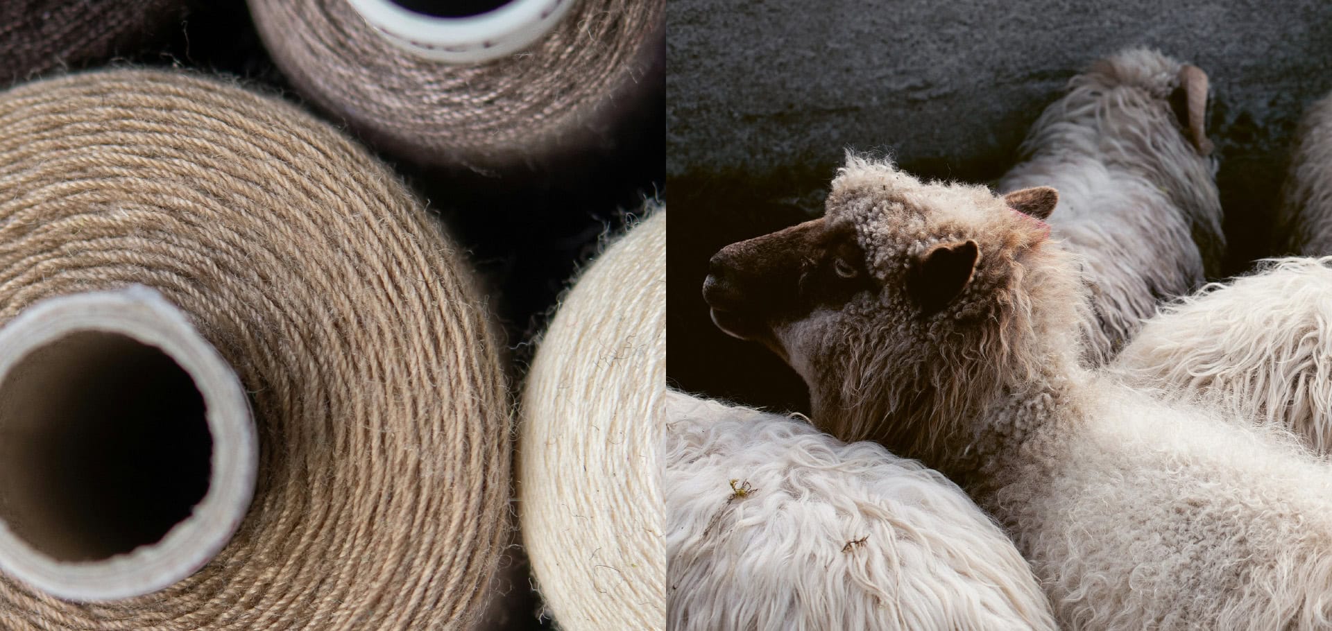 maerz.de-woolqualities-section01-1920x910