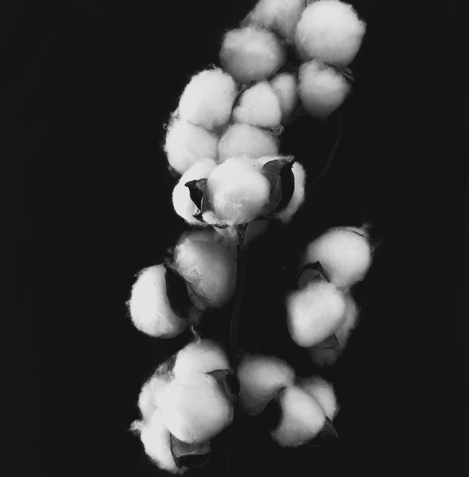 maerz.de_section03-cotton-x-silk-960x976 maerz.de_section03-cotton-x-silk-960x976