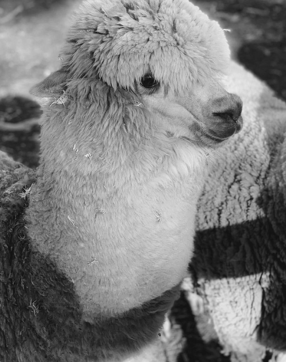 maerz.de_RAW_C04-3_1920x1155px