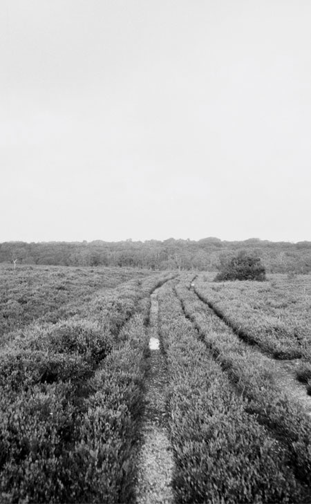 Weite Naturkulisse mit offenen Feldern und sanften Linien, ruhig und minimalistisch inszeniert für eine natürliche, klare Premium‑Ästhetik.