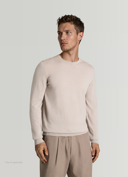 Pullover Rundhals 1/1 Arm width=