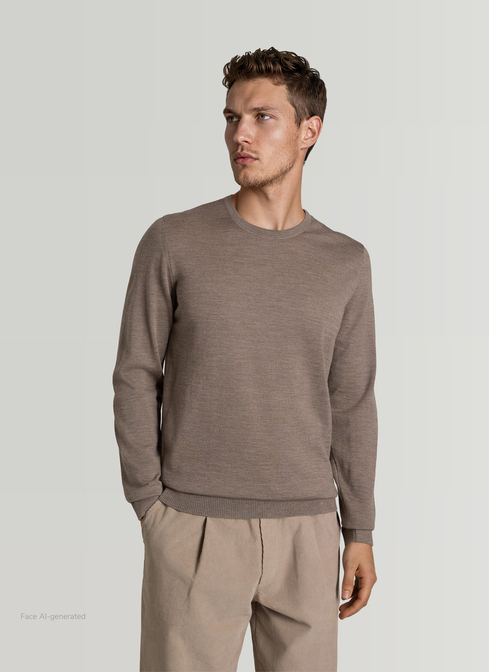 Pullover Rundhals 1/1 Arm width=