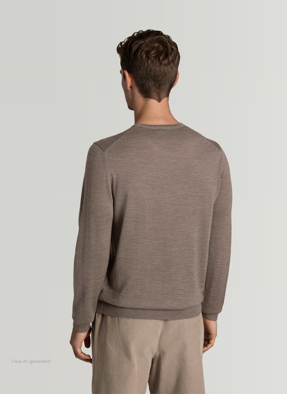 Pullover Rundhals 1/1 Arm Brownie Frontansicht