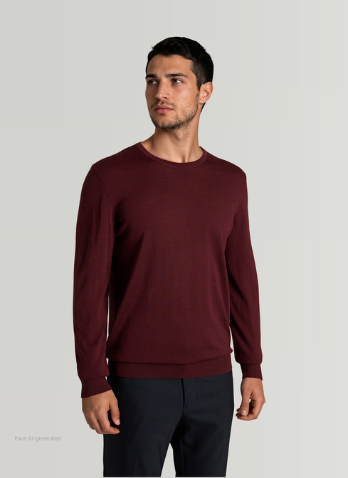 Pullover Rundhals 1/1 Arm width=
