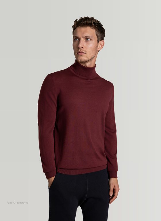 Pullover Rollkragen 1/1 Arm Barolo Wine Frontansicht