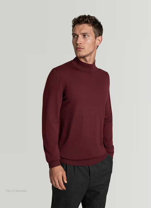 Pullover Rollkragen 1/1 Arm width=